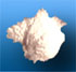 Aluminium Oxide - White